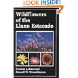Wildflowers of the Llano Estacado