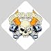 Car Window Sign of Live Fast Die Young Skull Flames and Pistons (Harley Davidson, Hog, Motorcycle Riding, Bike Riding, West Coast Choppers, Orange County Choppers, American Chopper)