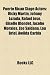 Puerto Rican Stage Actors: Ricky Martin, Johnny Lozada, Rafael Jose, Giselle Blondet, Jacobo Morales, Zoe Saldana, Lou Briel, Awilda Carbia