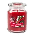Yankee Candle&reg; Home Classics Jar Candle - Holly and Red Berry (22 oz)