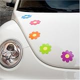 Daisy Car Magnets