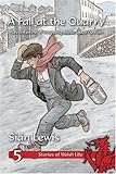 A fall at the quarry : adventures of a young slate-quarryman