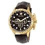 Nautica Men's N23512G BFC II Brown Leather Chronograph Watch