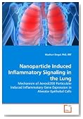 Nanoparticle Induced Inflammatory Signaling in the Lung: Mechanism of Aerosil200 Particulate Induced Inflammatory Gene Expression in Alveolar Epithelial Cells
