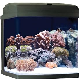 Nano Cube 28-gallon CF-QUAD