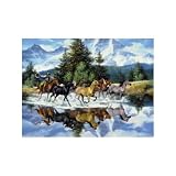 Sunsout Last of The Wild Ones 1000 Piece Jigsaw Puzzle