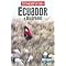 Best Ecuador Reads