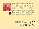 Taurus: 2009 Mini Day-to-Day Calendar