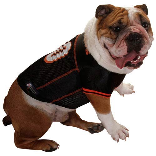 Cincinnati Bengals Black Mesh Pet Football Jersey (Medium)