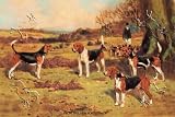 Canvas Print, Beagles - 30 x 20 Reviews
