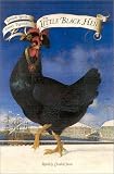 The Little Black Hen
