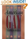American Gay (Worlds of Desire: The Chicago Series on Sexuality, Gender, and Culture)