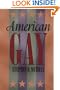 American Gay (Worlds of Desire: The Chicago Series on Sexuality, Gender, and Culture)