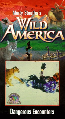 large image