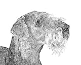 Airedale Terrier Dog 8x10 Art Print Drawing Signed Laroux