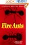 Fire Ants