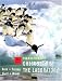 Book Foundations of Chemistry in the Laboratory