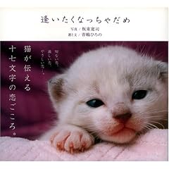 逢いたくなっちゃだめ