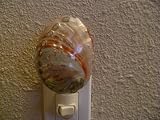 Genuine Polished Abalone Seashell Nightlight, Gift Idea 5