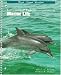 Book Laboratory & Field Investigations in Marine Life: West Coast Version