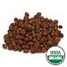 Starwest Botanicals Organic Hawthorn Berries Whole, 1-pound Bags (Pack of 2)