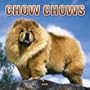Chow Chows 2005 Wall Calendar