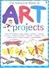 The Usborne Book of Art Projects (Miniature Editions)