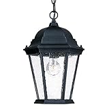 Acclaim 5206BK/SD Richmond Collection 1-Light Outdoor Light Fixture Hanging Lantern, Matte Black [並行
