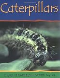 Caterpillars-PB (Minibeasts)
