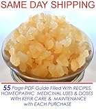 1/2 Cup of Original KefirLife 100% Organic Water Kefir Probiotic Scoby Grains
