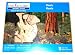 Creatology Wooden 3D Puzzle, Koala Bear (1 Each)