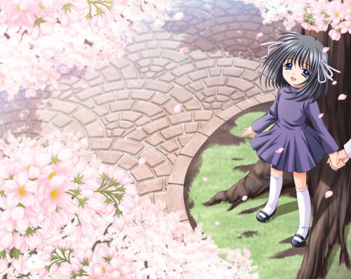 それは舞い散る桜のように 完全版 初回限定版画像