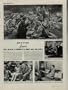 1944 LIFE Magazine Movie of the Week Picture, "JANIE," Joyce Reynolds is charming in this comedy about adolescents, which also stars Edward Arnold and Ann Harding. A3190A **THIS IS AN AD / POSTER, NOT A DVD**