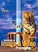 Books : Handbook of Image and Video Processing (Communications, Networking and Multimedia)