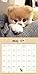 Boo Wall Calendar (2016)