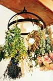 Hanging Herb Dryer