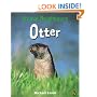 Otter (Animal Neighbours)