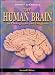 Book The Human Brain: in Photographs and Diagrams
