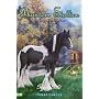 Gypsy Gold (Phantom Stallion)