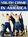  Youth Crime in America: A Modern Synthesis 