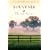 Souvenir: A Novel