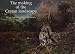 The Making of the Cretan Landscape