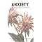 Treating Anxiety Disorder Reading List