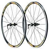 Mavic