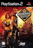 Fallout: Brotherhood of Steel (PS2)
