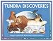 Tundra Discoveries