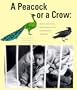 A Peacock or a Crow? Stories, Interviews and Commentaries on Romanian Adoptions
