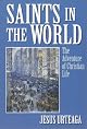 Saints in the World: The Adventure of Christian Life