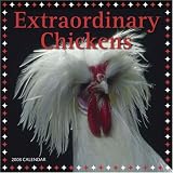  : Extraordinary Chickens 2008 Wall Calendar