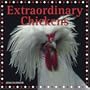 Extraordinary Chickens 2008 Wall Calendar